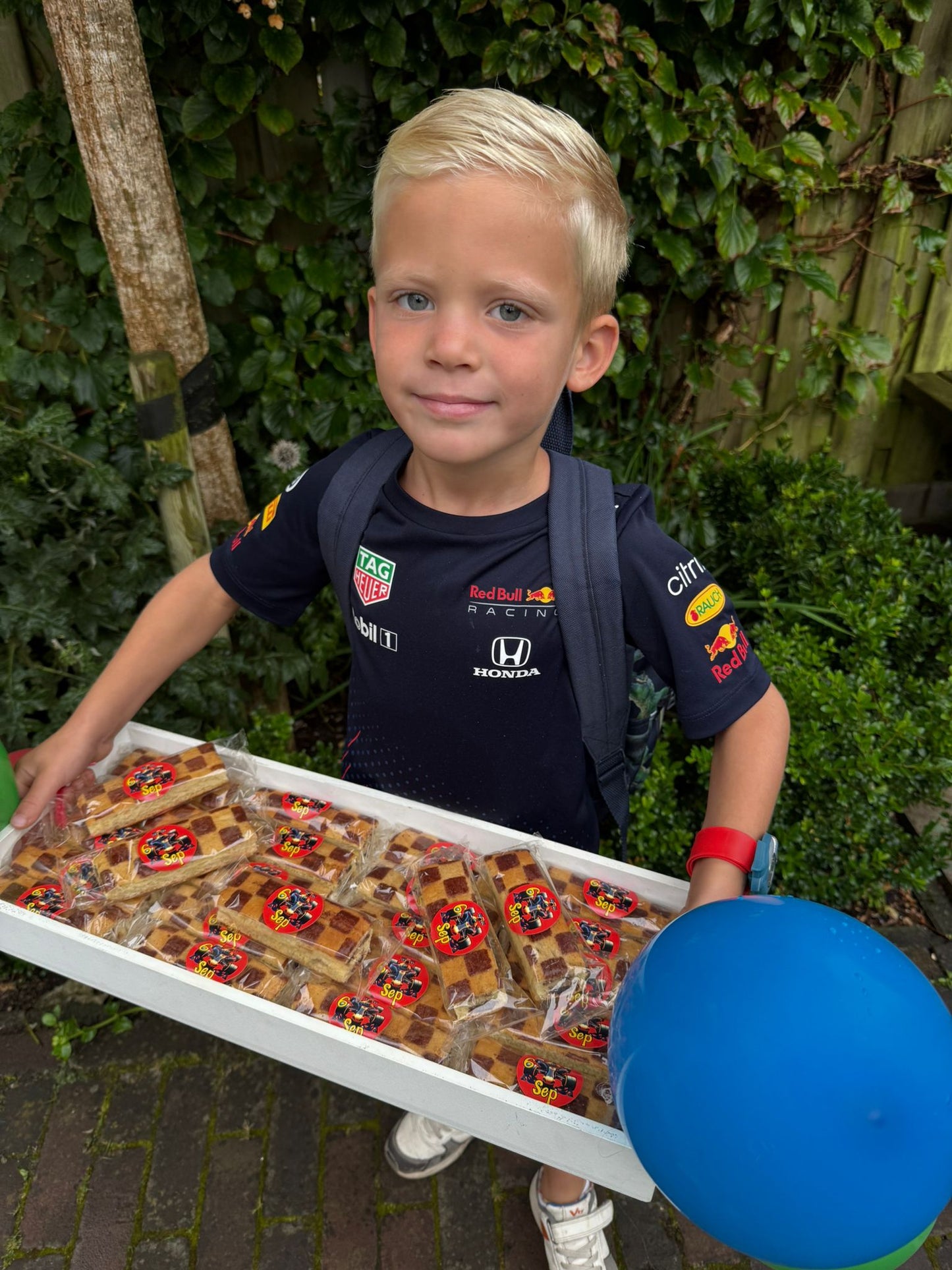 Formule 1 traktaties van Sep