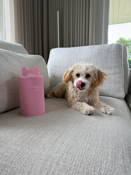 Roze 3D-geprinte snackpot met naam Sjuulke, naast een maltipoo op een grijze bank